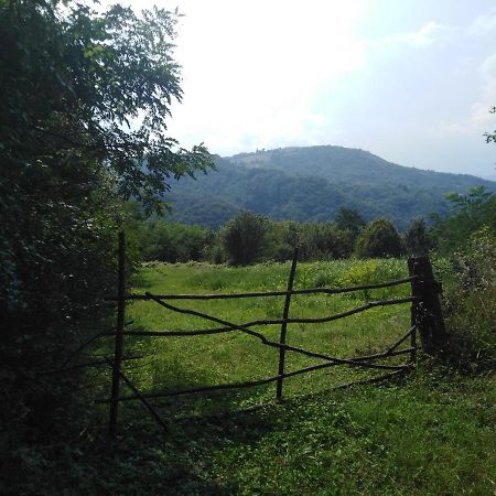 Guesthouse Smiljanic Slavkovica Exterior foto