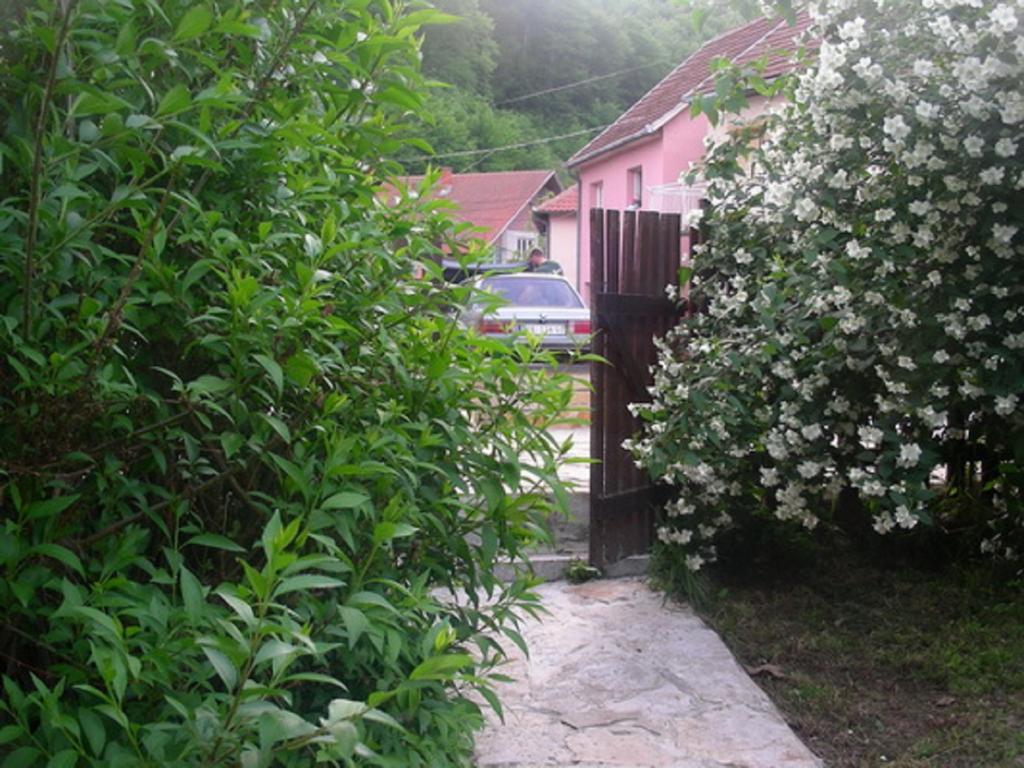 Guesthouse Smiljanic Slavkovica Exterior foto