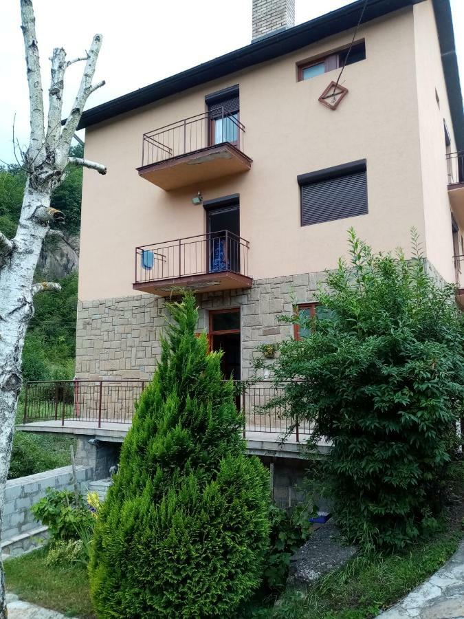 Guesthouse Smiljanic Slavkovica Exterior foto